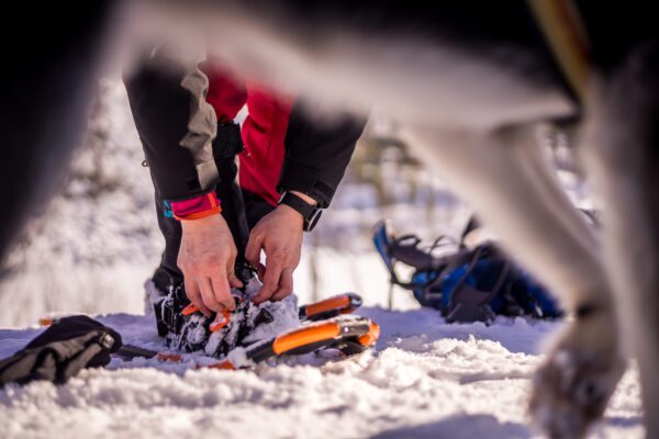 Snowshoeing & Husky