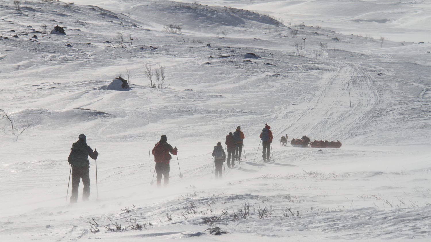 ski på finnmarksvidda